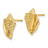 14k Conch Shell Earrings-WBC-E916