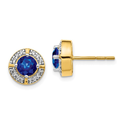 14k Diamond and Sapphire Fancy Halo Earrings-WBC-EM3922-SA-019-YA