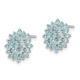 Sterling Silver Rhodium Plated Aquamarine Round Post Earrings-WBC-QE10003AQ