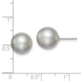 Sterling Silver Rh-plated 10-11mm Grey FW Cultured Round Pearl Stud Earring-WBC-QE12717