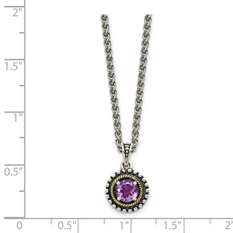 Sterling Silver w/ 14K Accent Amethyst Necklace-WBC-QTC1593