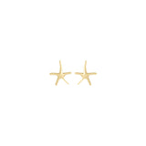 10k Starfish Earrings-WBC-10TE624